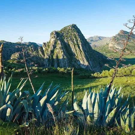 ホテル La Fuente De La Higuera 4*