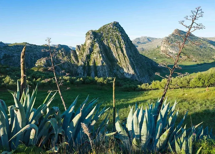 Hotel La Fuente De La Higuera 4*