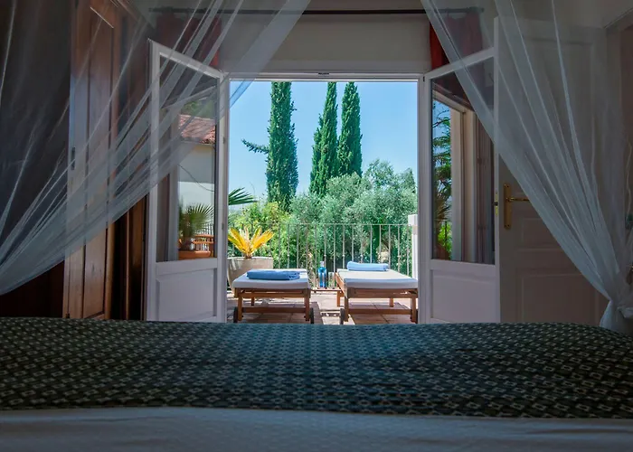 La Fuente De La Higuera